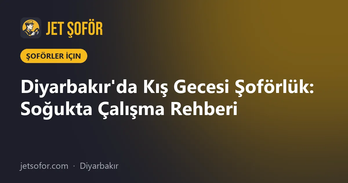Diyarbakır'da Kış Gecesi Şoförlük: Soğukta Çalışma Rehberi